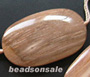 Fossilized Wood